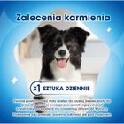 Purina Nestle, Dentalife Extra Mini, przekąska dentystyczna dla psa, 69 g