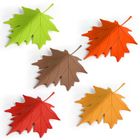 Qualy, bloker do drzwi, liść jesieni, czerwony