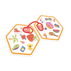 Rebel, Dobble, Connect, gra familijna