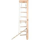 Rinagym, drabinka gimnastyczna, SPR B+slide, naturalny