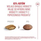 Royal Canin, FHN Cat Ageing Sterilised 11+, sucha karma dla kotów sterylizowanych, 4kg