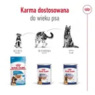 Royal Canin, SHN Maxi Adult Loaf, 410g