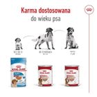 Royal Canin, SHN Medium Adult Loaf, 410g