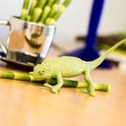 Safari Ltd, figurka, kameleon