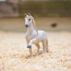 Safari Ltd, figurka, ogier andaluzyjski