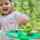 Safari Ltd, zestaw figurek, cykl życia żaby