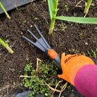 Saska Garden, pazurki, kultywator ogrodowy