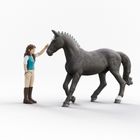 Schleich, Horse Club, Lisa i Storm, Wałach Hanowerski, zestaw, 42712