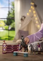 Schleich, Horse Club, Trening turniejowy Lisy, zestaw, 42776