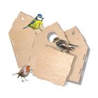 SES Creative, domek drewniany dla ptaków, zestaw kreatywny