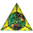 Shashibo, kostka magnetyczna, łamigłówka, Jungle