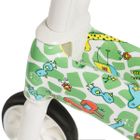 Smiki, Chillafish, rowerek biegowy, zielony