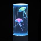 Smiki, Meduzy, lampka tuba