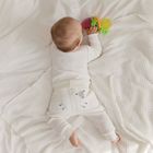 Smiki, Owoce, gryzak