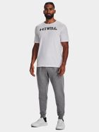 Spodnie dresowe męskie, szare, Under Armour