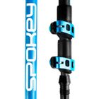 Spokey, Carbon, kije trekkingowe, 105-135 cm