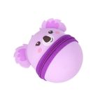 Starpak, piórnik silikonowy, Koala