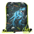 Starpak, worek sportowy, Dino