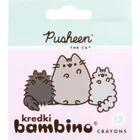 St.Majewski, Pusheen, zestaw upominkowy