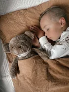 Szumisie, Miś dla starszaków, maskotka z mechanizmem szumiącym 5w1, brązowy, 36 cm