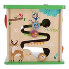 Tooky Toy, drewniana kostka aktywności, sorter