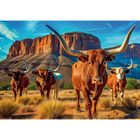 Trefl, Longhorns, USA, puzzle, 1000 elementów