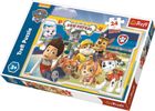 Trefl, Psi Patrol, Wesoła drużyna, puzzle maxi, 24 elementy