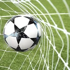 Trizand, siatka do metalowej bramki piłkarskiej