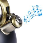 Vilde, czajnik z gwizdkiem, stalowy, czarny, 3l