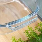 Vilde, naczynie żaroodporne z pokrywką, szklane, 3,1+2,6 l