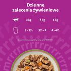 Whiskas, Tasty mix wybór szefa kuchni w sosie, mokra karma dla kota, 85g, 40 szt.