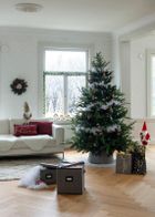 Winteria, świąteczna poduszka dekoracyjna, welurowa, 30-50 cm