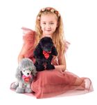 Woodyland, Pudel Charlie, maskotka, czarny, 25 cm