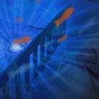 Zazu, Wydra Otto, projektor oceanu