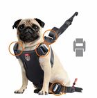 Zolux, Travel Safe, szelki dla psa, rozmiar M, czarne