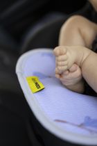 Aeromoov, Magnolia, wkładka antypotowa do fotelika, 9-18 kg