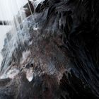 Attitude, bezzapachowy szampon do mycia zwierząt, 473 ml