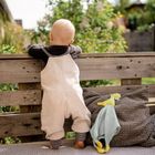 BabyFehn, Wesoły Dinozaur, pierwsza przytulanka