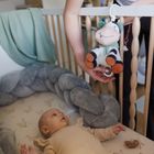 BabyOno, Cow Bingo, pozytywka