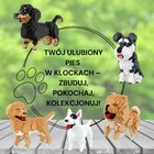 Balody, Pies Bulterier, klocki konstrukcyjne, 797 elementów