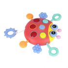 Bam Bam, zabawka sensoryczna, biedronka