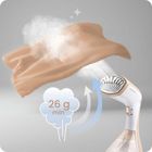 Berdsen, parownica do ubrań, 1600W, steamer, BD-311