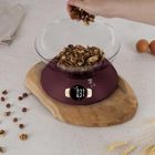 Berlinger Haus, Leonardo, waga kuchenna z misą