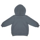 Bluza dziecięca z kapturem, rozpinana, szara, Nicol