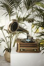 Camry, gramofon z tubą z CD/MP3/USB/nagrywaniem