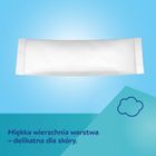 Canpol babies, podpaska chłodząca po porodzie, jednorazowa