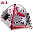 Canpol babies, Sensory Toys, sensoryczna mata do zabawy + lusterko sensoryczne