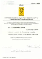 Cool Club, Sandały chłopięce, niebieskie, Zdrowa Stopa, Psi Patrol