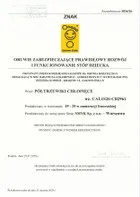 Cool Club, Trampki dziecięce, brązowe, Zdrowa Stopa, podeszwa Barefoot