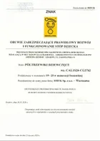 Cool Club, Trampki dziewczęce, żółte, Zdrowa Stopa, podeszwa Barefoot